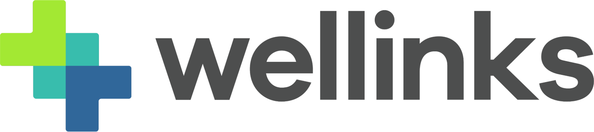 CEO at Wellinks