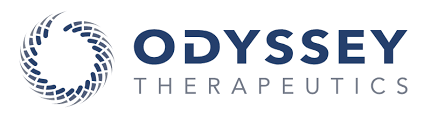 CCO & SVP, Head of Chemistry at Odyssey Therapeutics