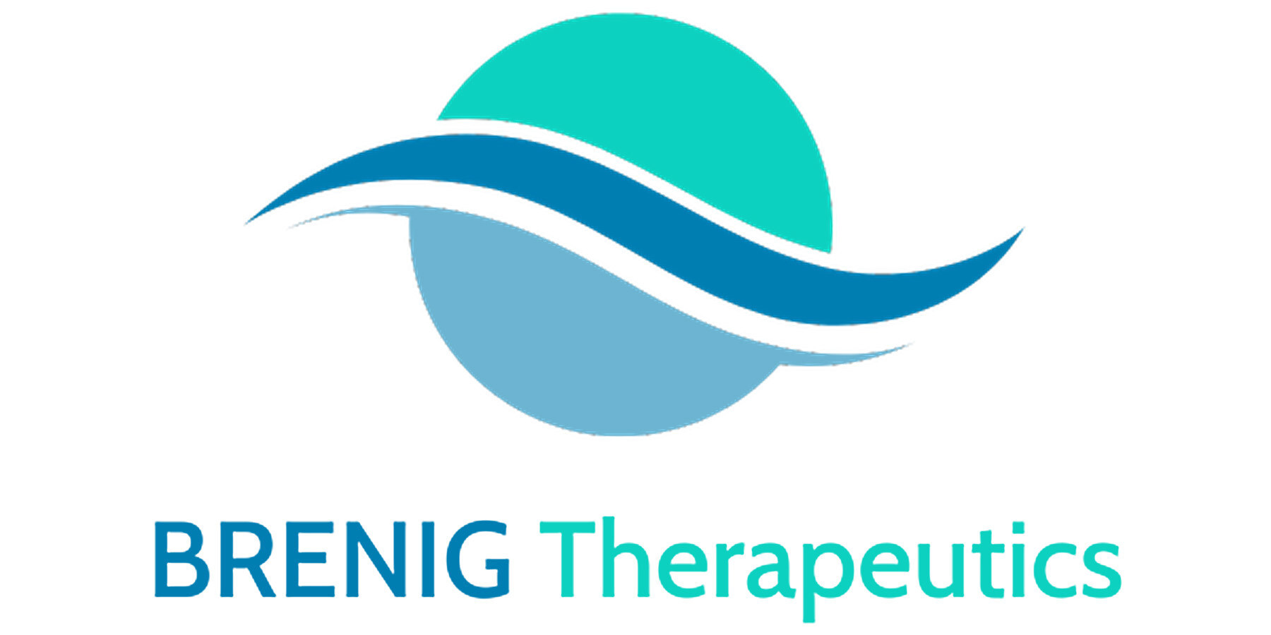 CEO & Chief Medical Officer at Brenig Therapeutics